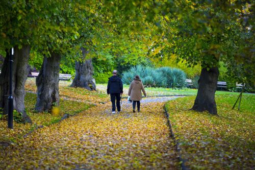 Autumn Leaves