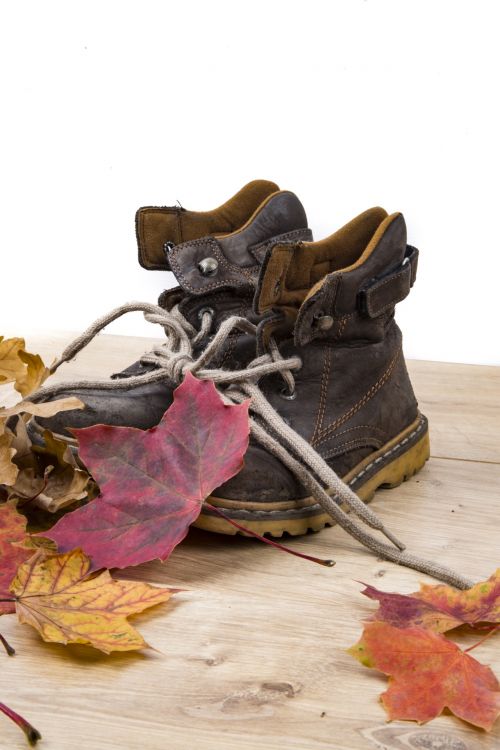 Autumn Leaves And Shoes