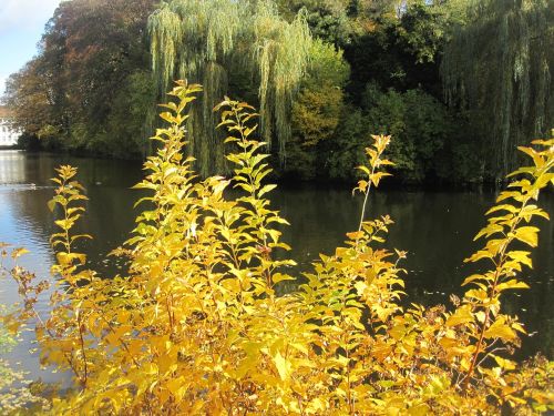 autumn mood autumn idyll at the pond