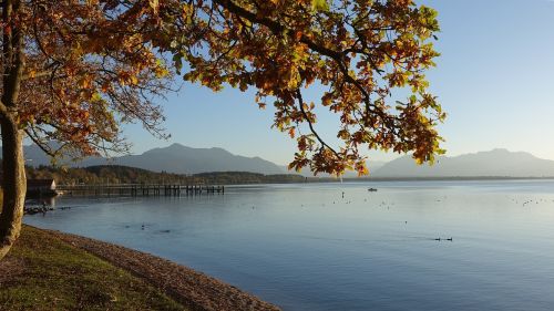 autumn mood lake chiemsee