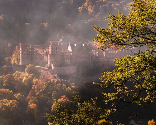 autumn mood  fall color  heidelberger schloss