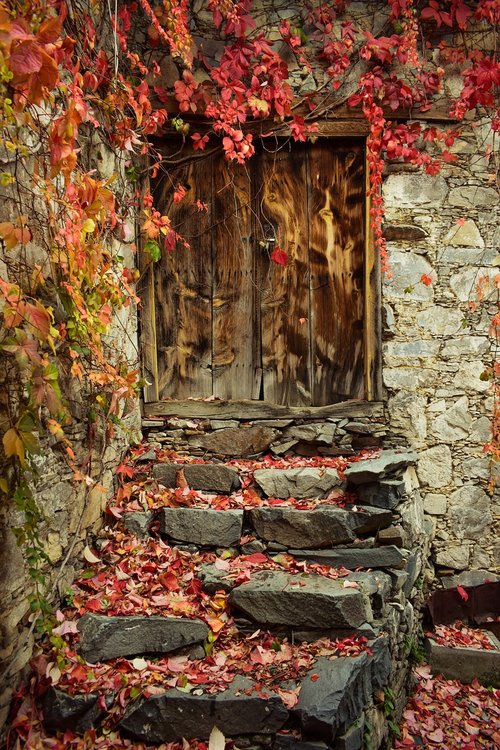 autumn mood  autumn colors  door
