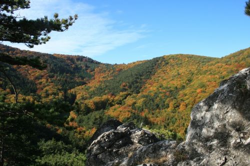 autumn mood rock autumn