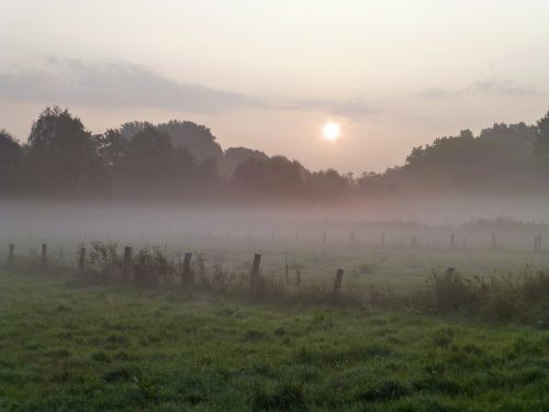 autumn morning fog back light
