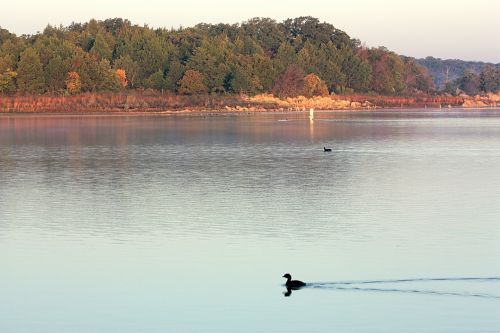 Autumn Morning At The Lake