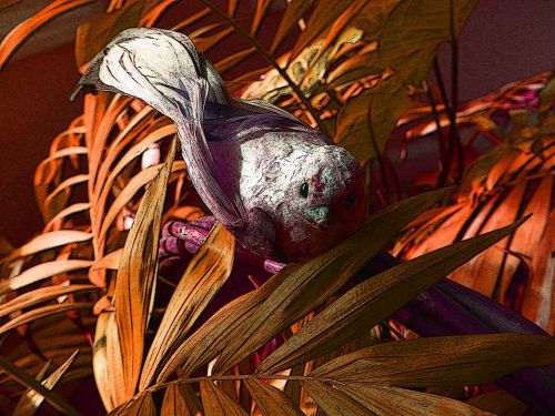 Autumn Orange Bird In Bush