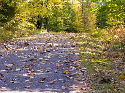 Autumn Path