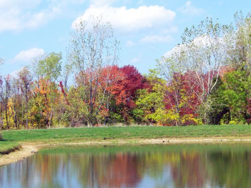 Autumn Pond