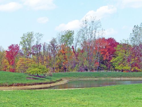 Autumn Pond