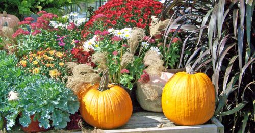 Autumn Still Life