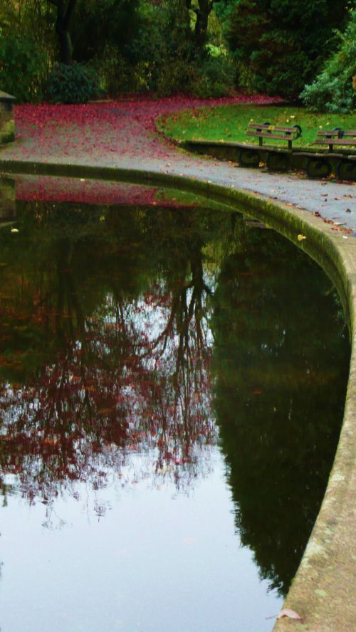 Autumn, Water And Bench