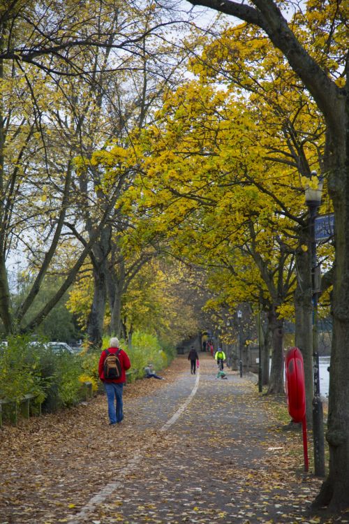 Autumn York A Town In England