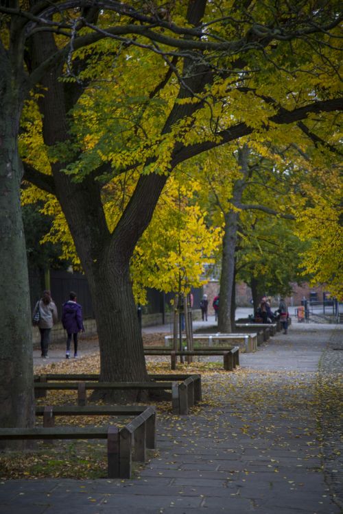 Autumn York A Town In England