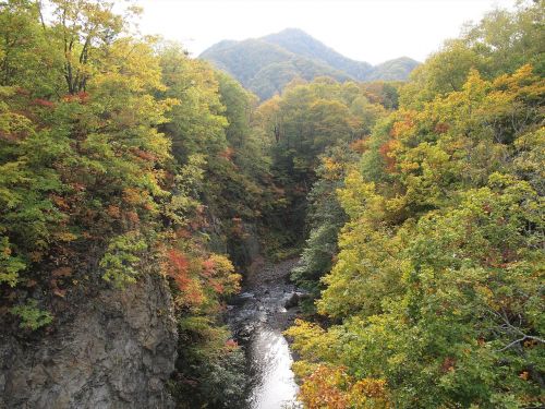 autumnal leaves valley landscape