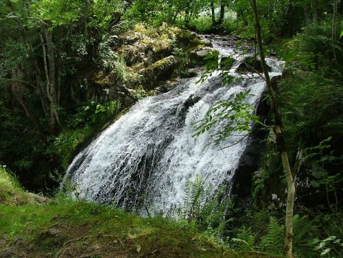 auvergne waterfall water