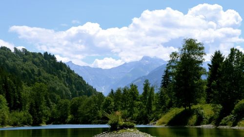 auwaldsee forest lake