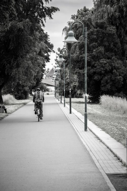 avenue lanterns cyclists