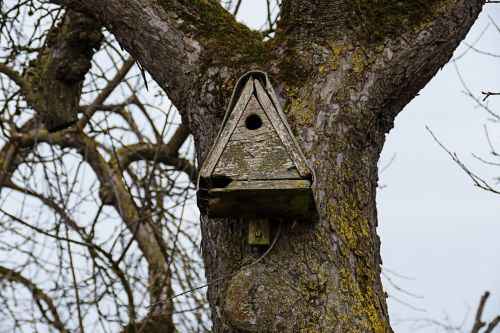 aviary nesting place bird feeder