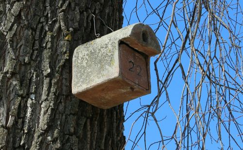 aviary bird feeder nesting help