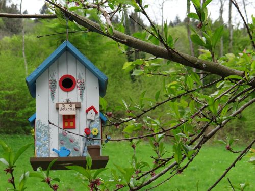 aviary garden nesting box