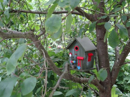 aviary nesting box bird feeder