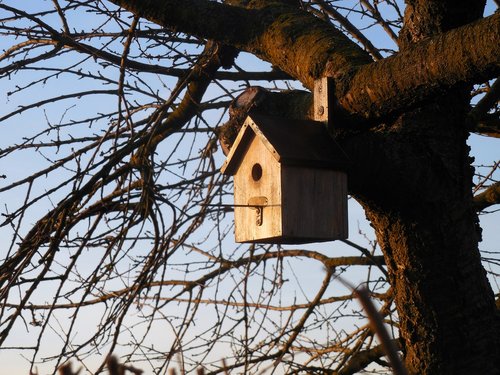 aviary  bird  house