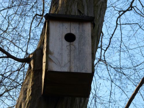 aviary treehouse nesting box