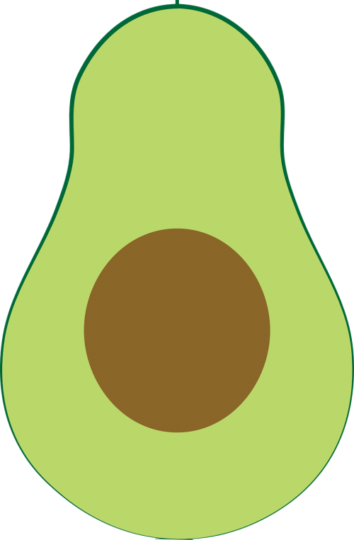 avocado half cut