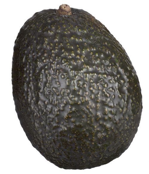 avocado fresh healthy