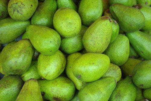 avocado fruit eat