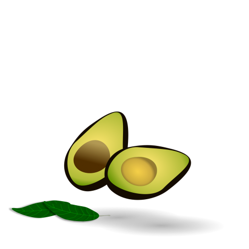 avocado healthy diet