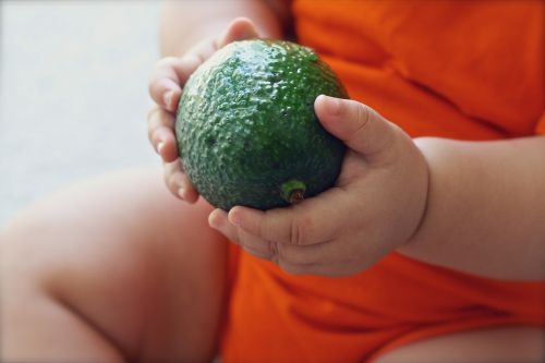 avocado fruit baby