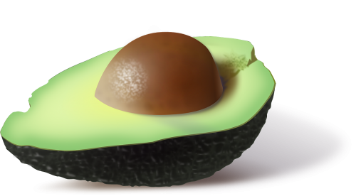 avocado food green
