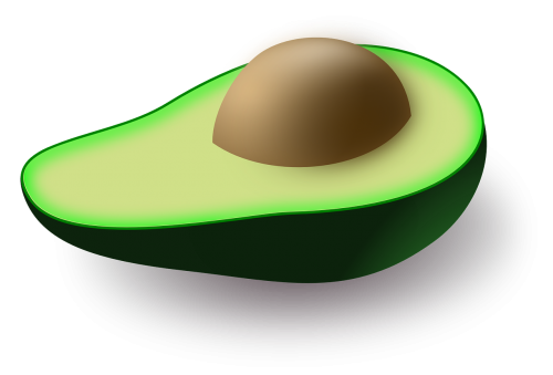 avocado fruit green