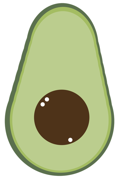 avocado  fresh  green