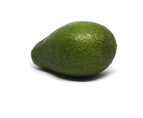 avocado  fruit  green