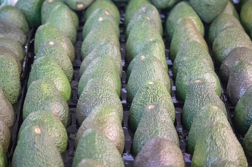 avocado  vegetable  row