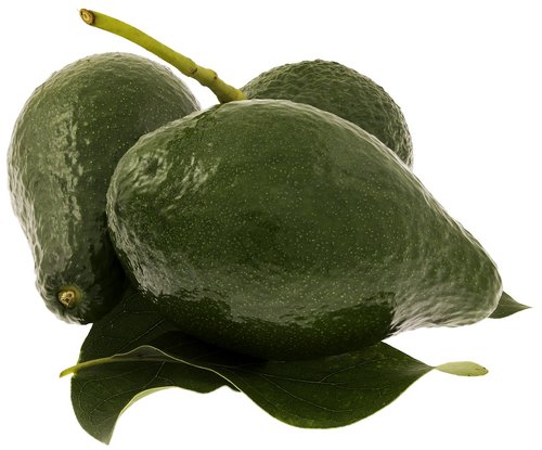 avocado  green  nutrition