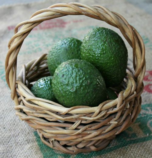 avocado basket health