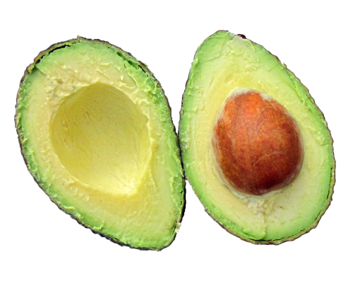 avocado fruit halves