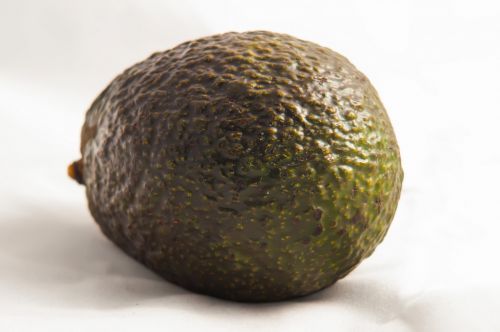 Avocado Isolated