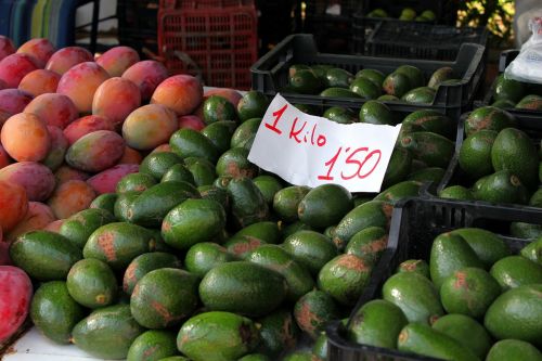 avocados spain andalusia