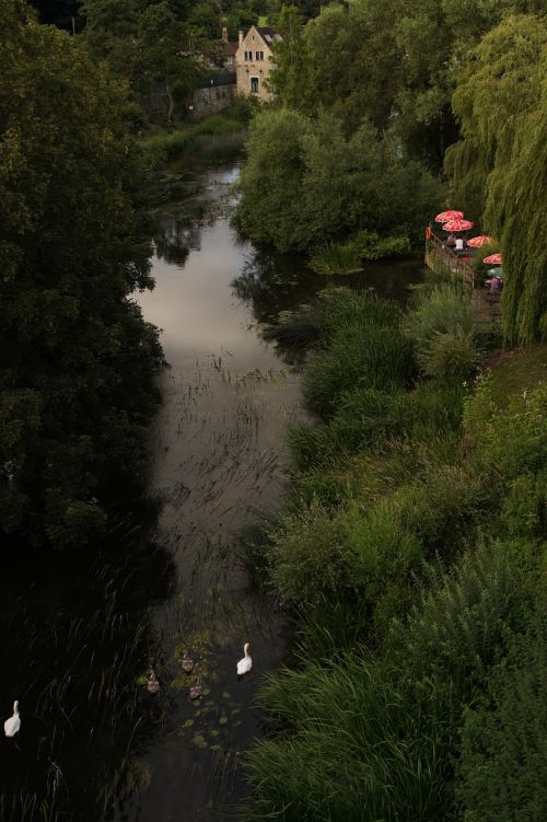 avon swan family england