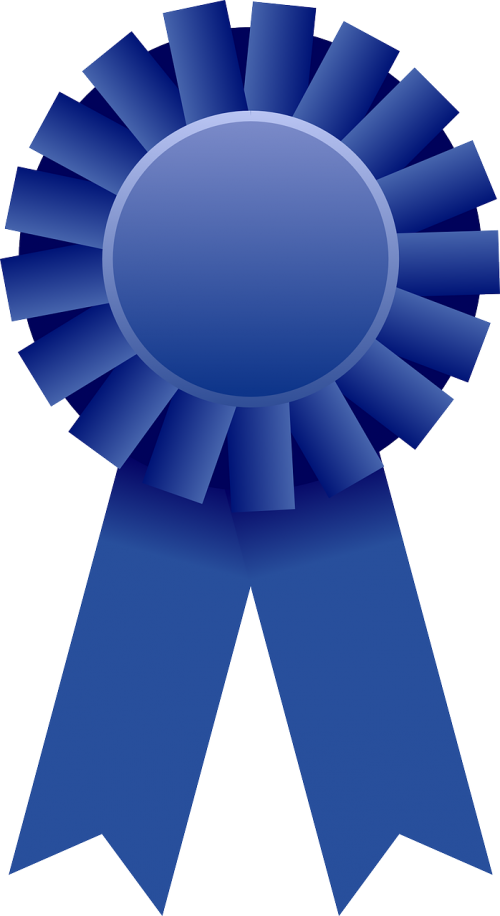 award ribbon rosette
