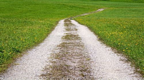 away lane nature