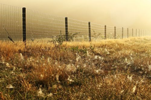 away fog fence