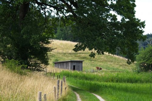 away meadow pasture