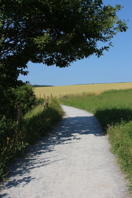 away meadow grasses