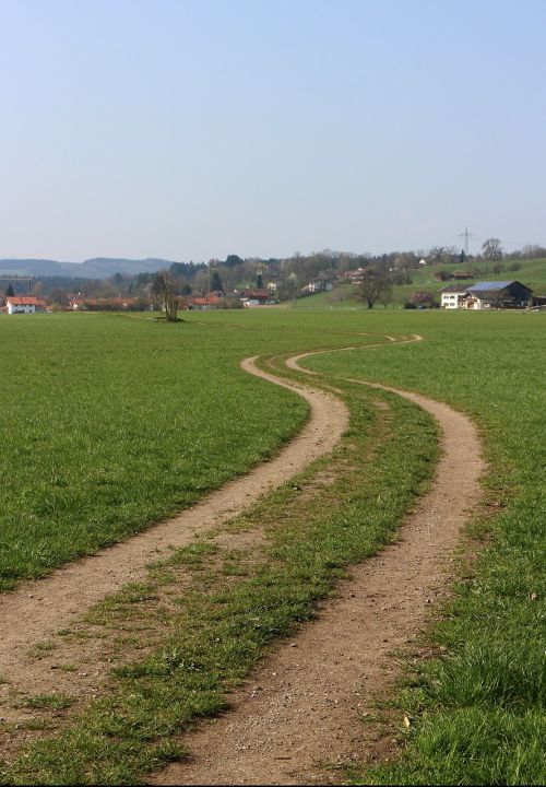 away nature trail meadow