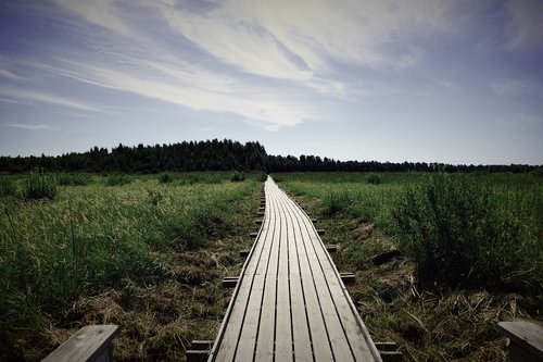 away  path  boardwalk